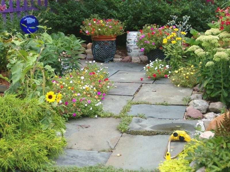 A flagstone garden path winding between flower pots, sunflowers and leafy beds